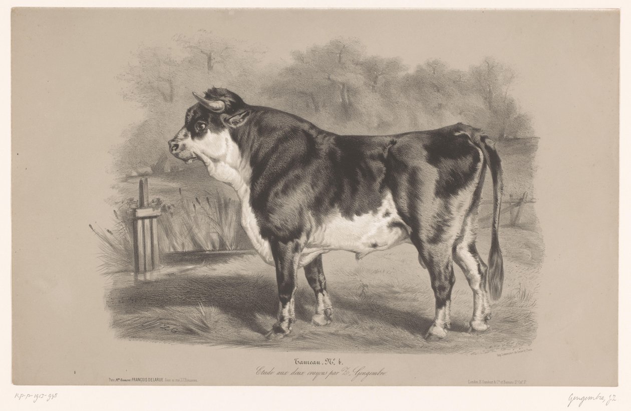 Toro en un prado Taureau (título sobre objeto) Estudios con animales en dos tipos de tiza (título de la serie) Etude aux deux crayons par Z. Gengembre (título de la serie sobre el objeto) de Joseph Zephyris Gengembre