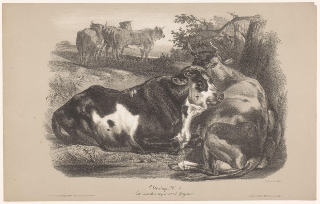 Cinco vacas en un prado L