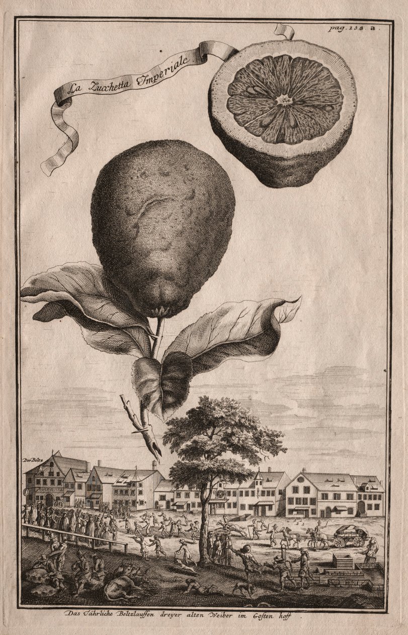 Nurnbergische Hesperides: La Luchetta Imoperiale, 1714 de Joseph de Montalegre