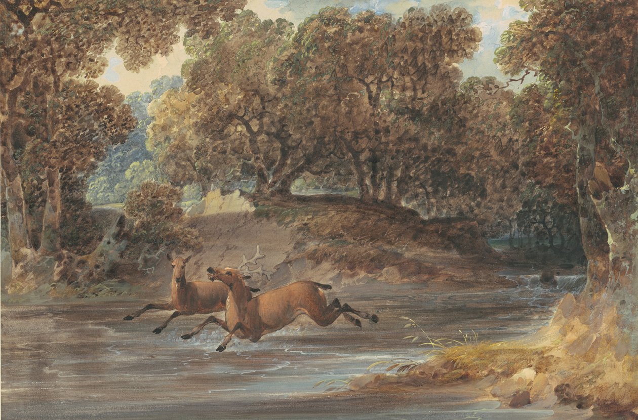 Paisaje con ciervos, Carolina del Norte, c.1820 de Joshua H. Shaw