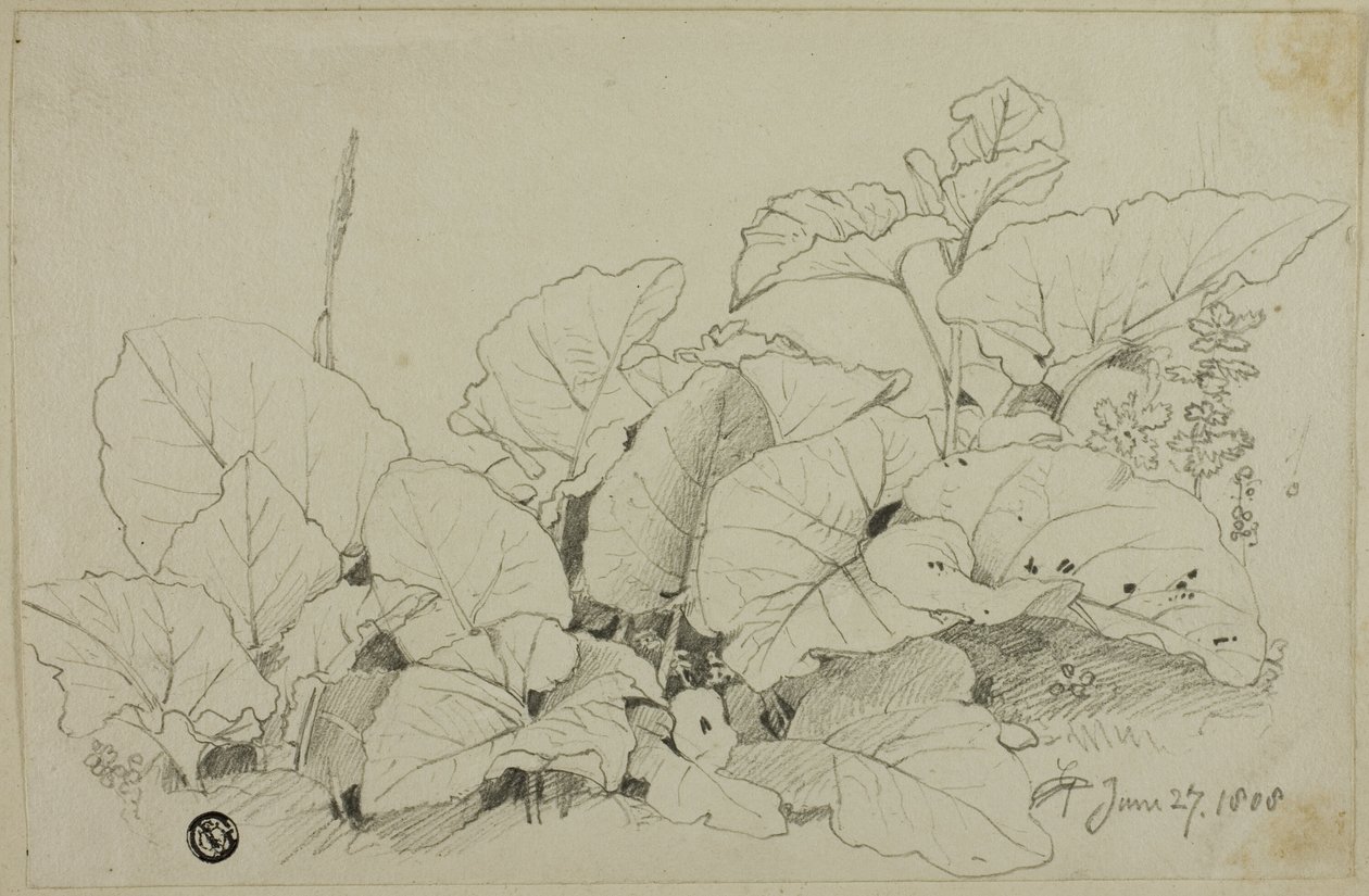 Grupo de hojas y flores de Joshua Cristall