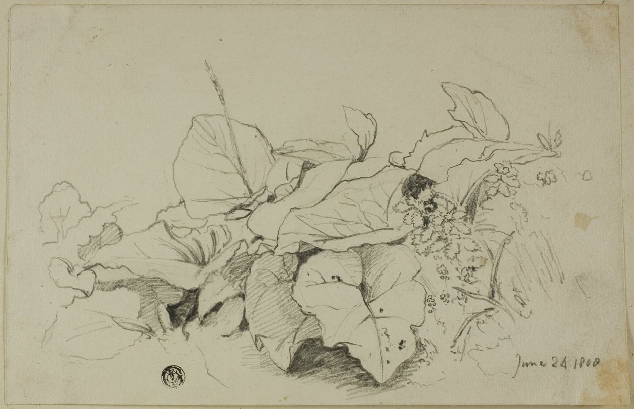 Grupo de Hojas y Flores de Joshua Cristall