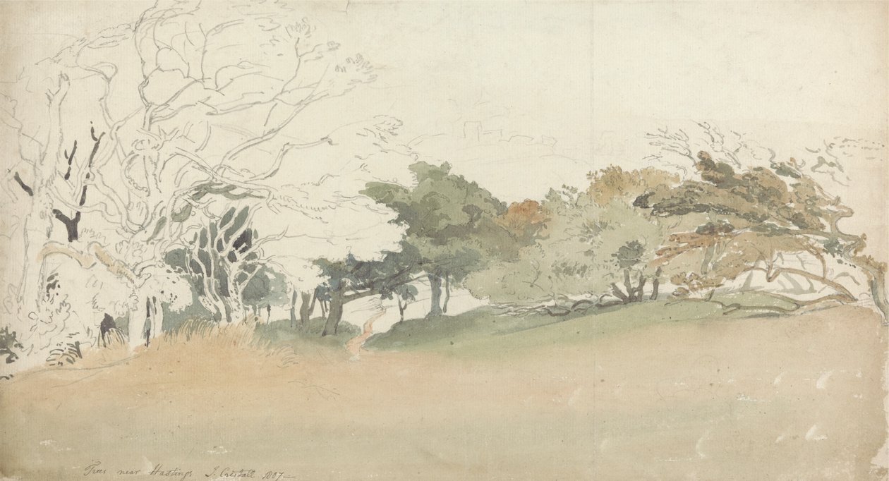 Árboles cerca de Hastings de Joshua Cristall