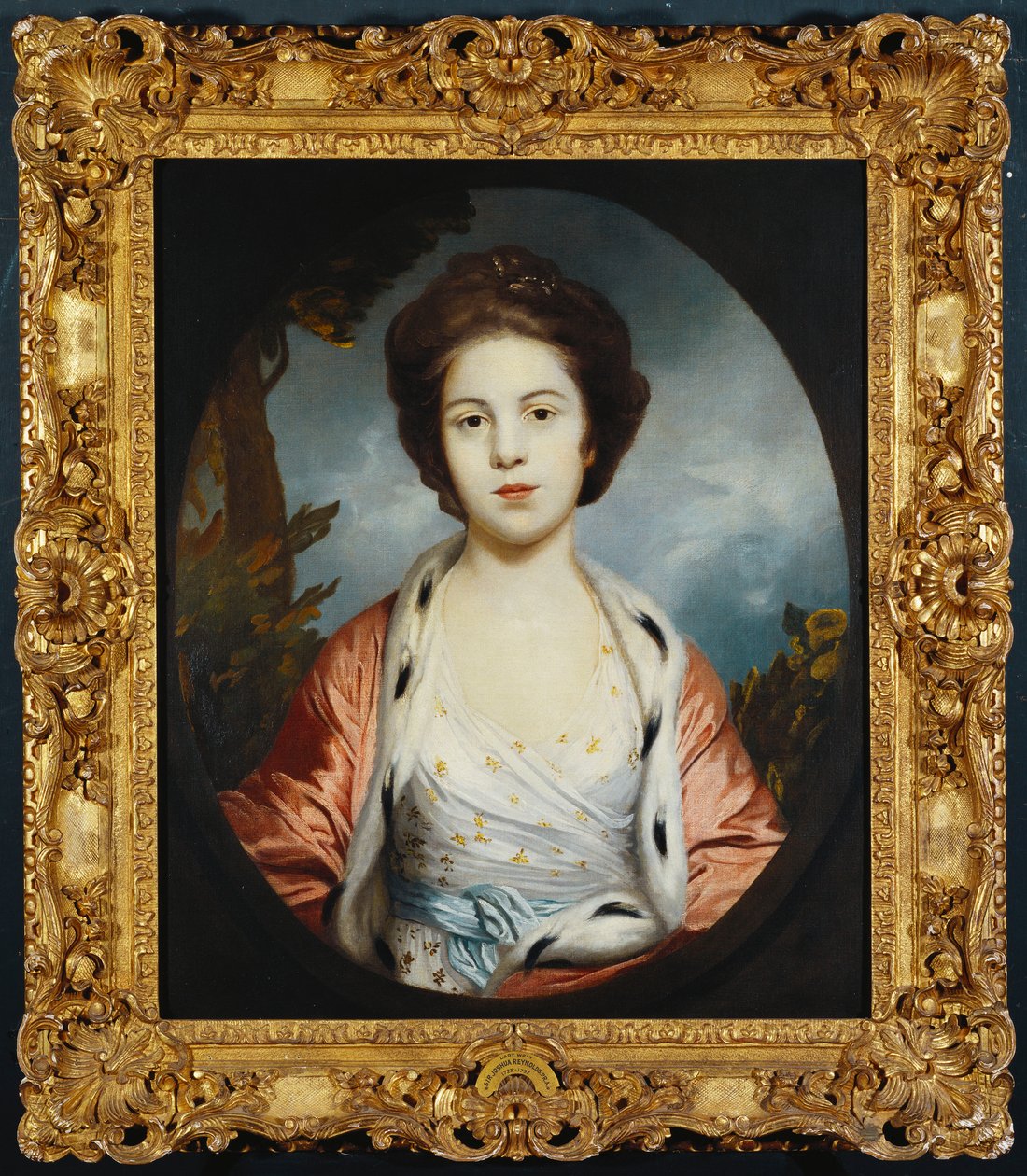 Retrato de Esther, Lady Wray, con un vestido blanco, una capa de armiño dorada y rosa, un paisaje al fondo de Joshua Reynolds