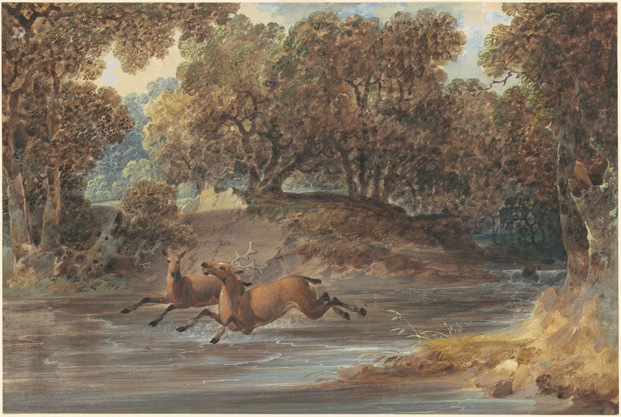 Paisaje con ciervos, Carolina del Norte de Joshua Shaw