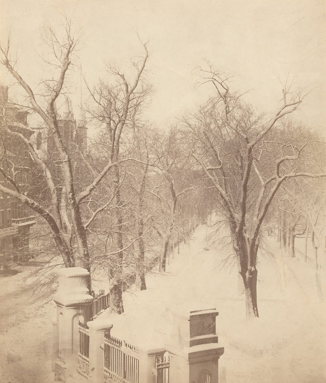 Boston Common Snow Scene,1850s (foto) de Josiah Johnson Hawes