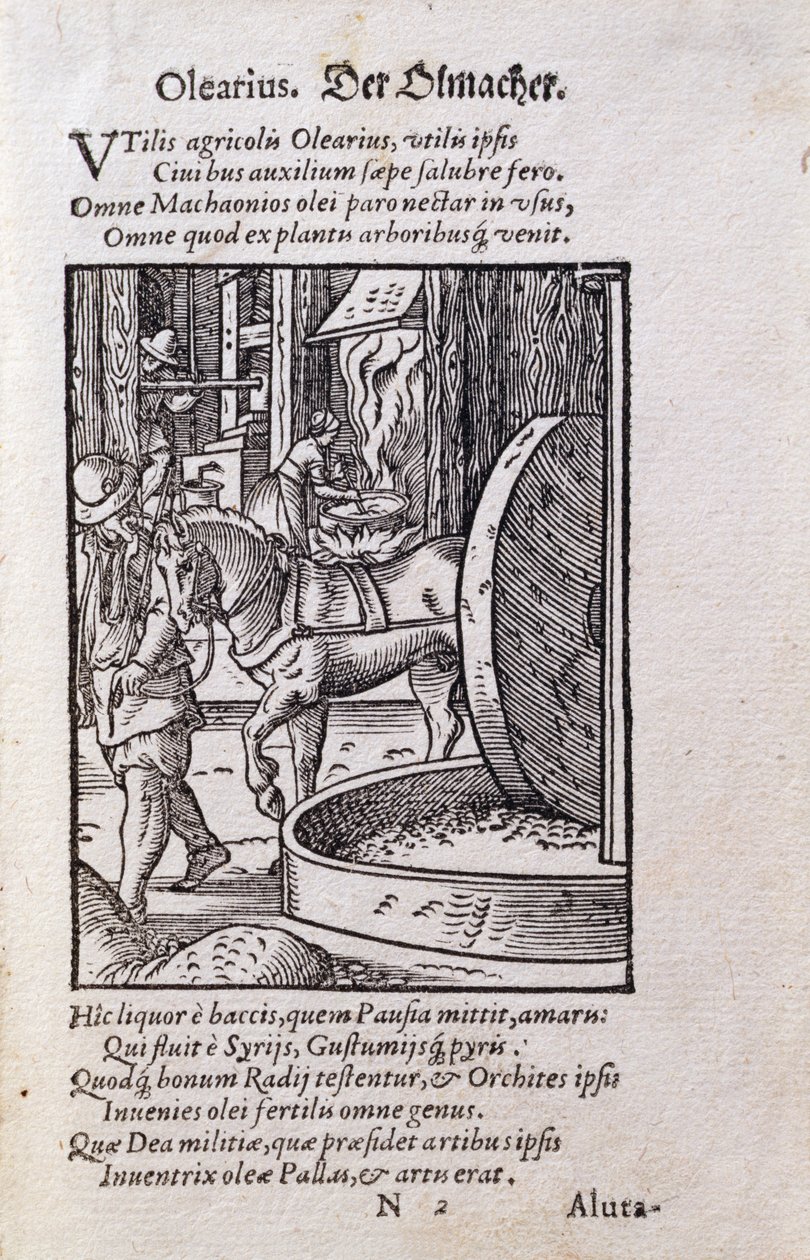 Fabricante de aceite, ilustración de la edición latina de 