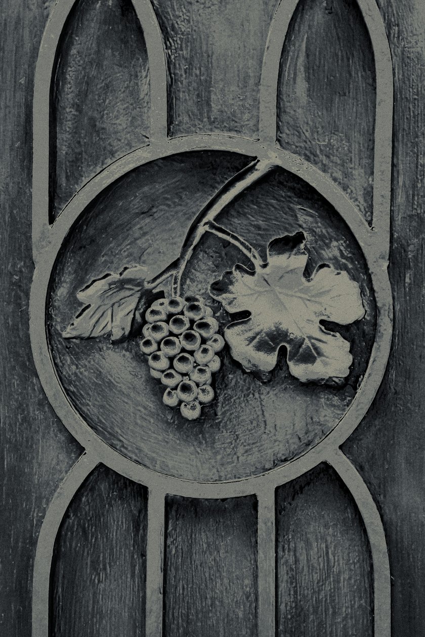 Fruits of the Garden, de la serie The Observant, 2016 (fotografía). de Joy Lions