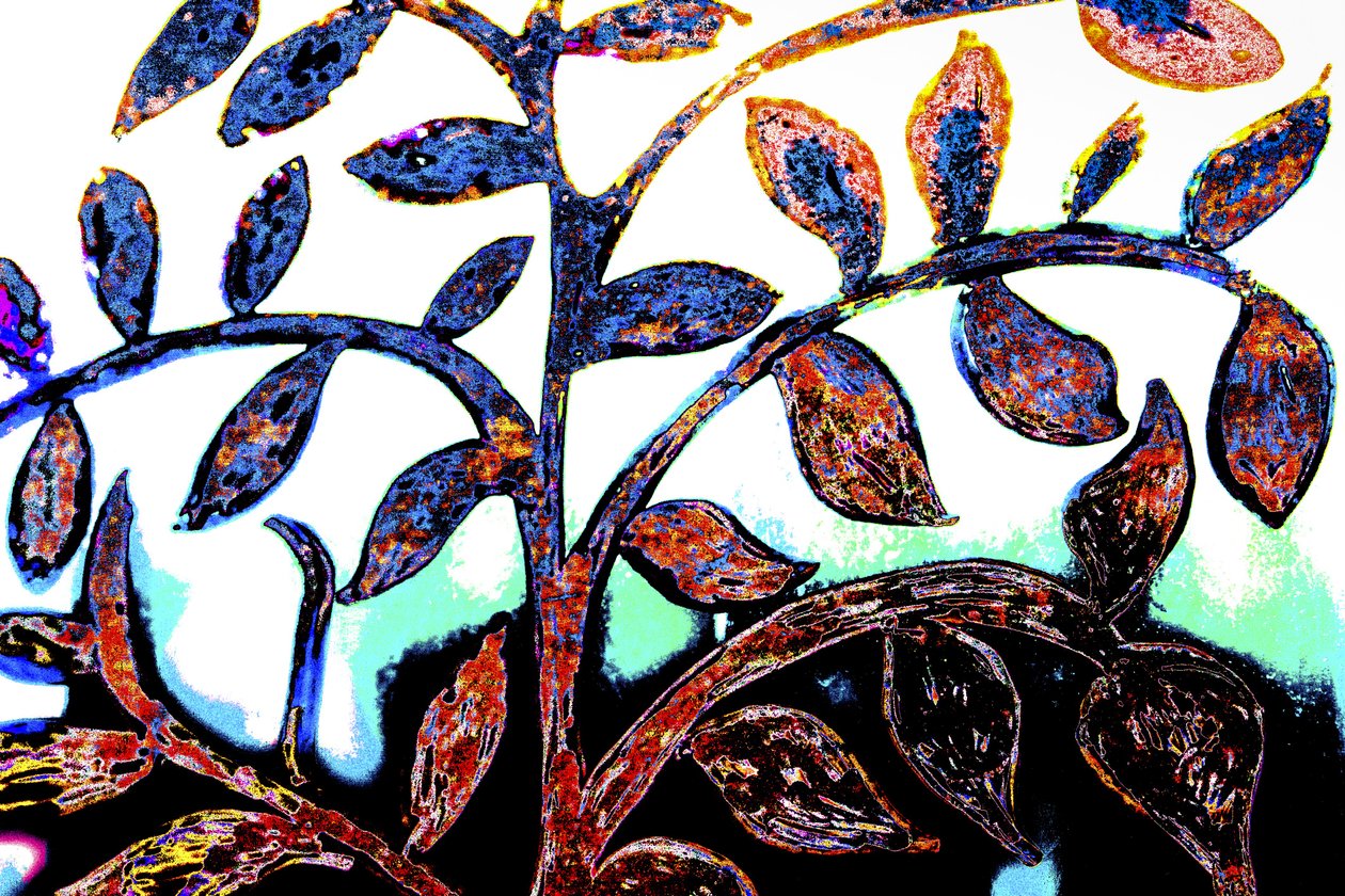 Primavera, de la serie, Sinagoga italiana, 2015 (técnica mixta) de Joy Lions