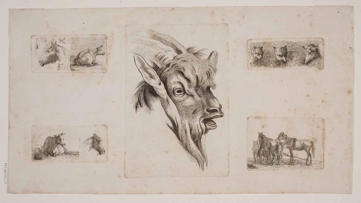 Caballos, vacas, gatos y una cabeza de cabra. Placa de prueba con cinco grabados de Jørgen V. Sonne