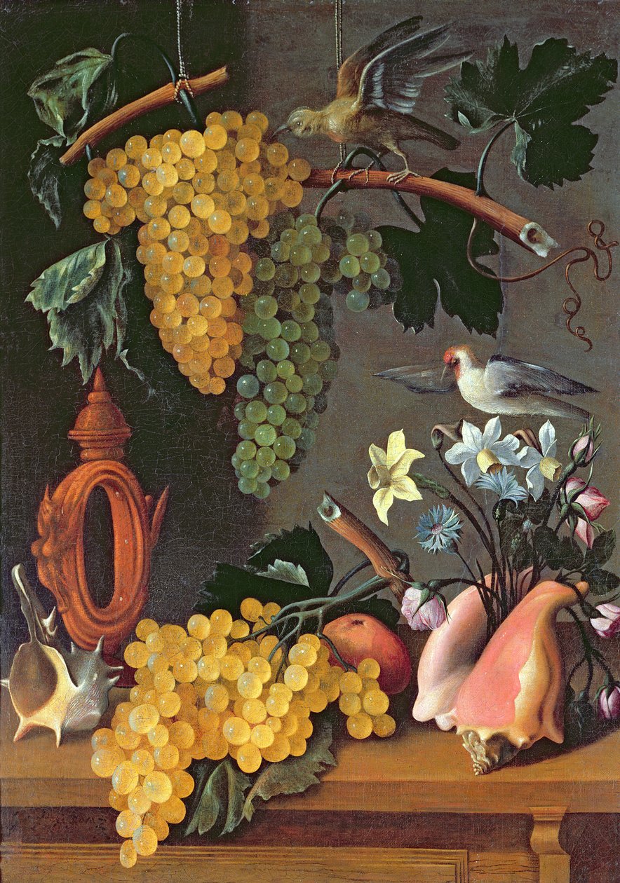 Naturaleza Muerta con Uvas, Pájaros, Flores y Conchas de Juan de Espinosa