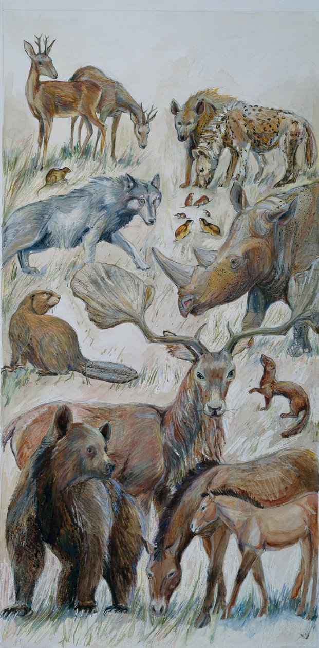 Animales de Boxgrove identificados por excavación (acuarela sobre papel) de Judith Dobie