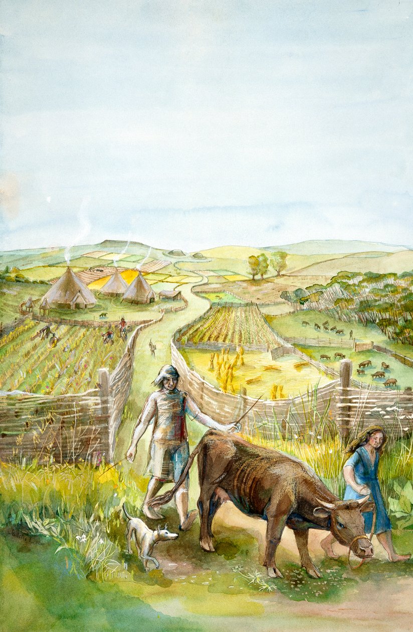 Paisaje rural de Judith Dobie