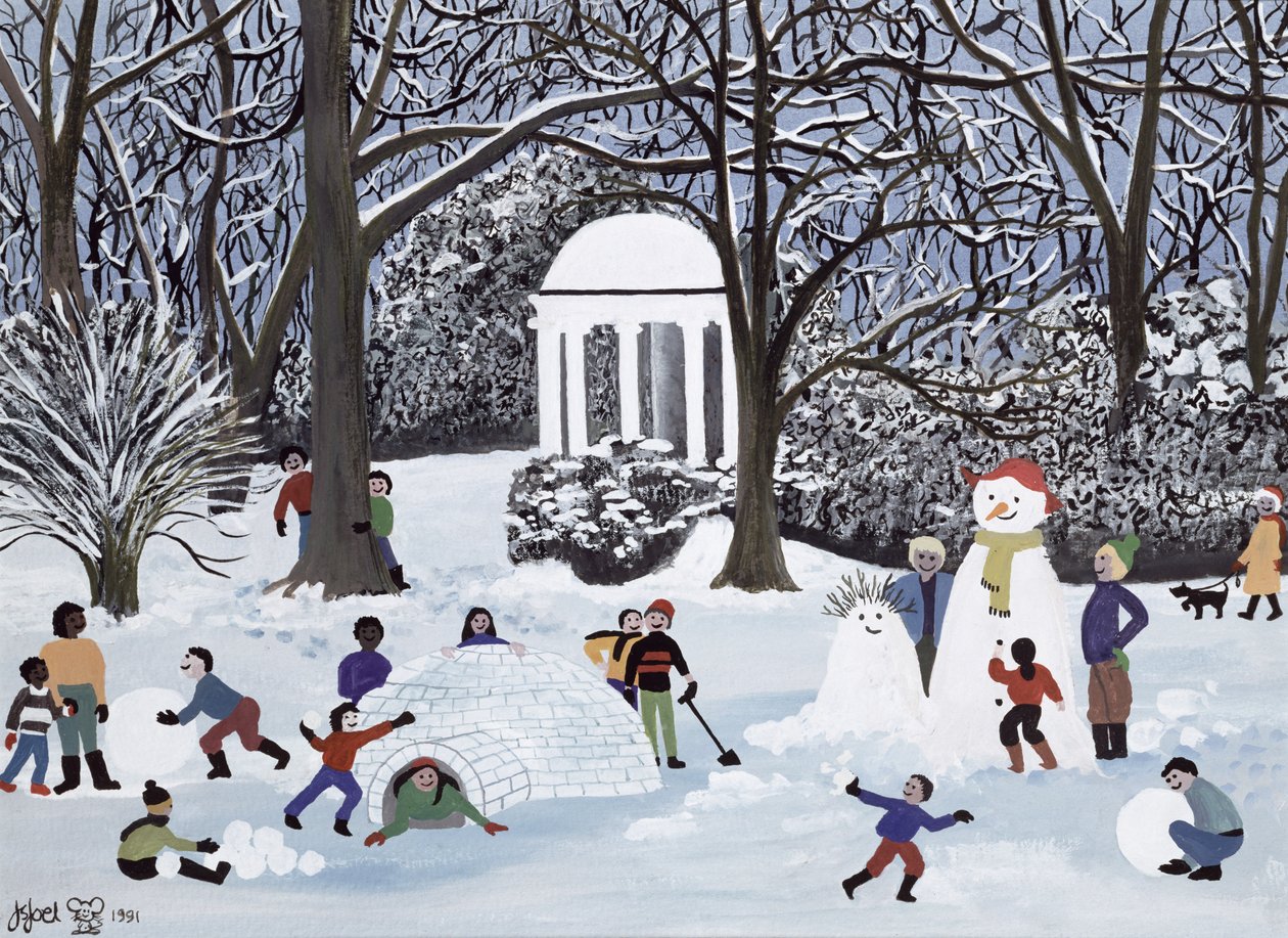 Follies de nieve de Judy Joel