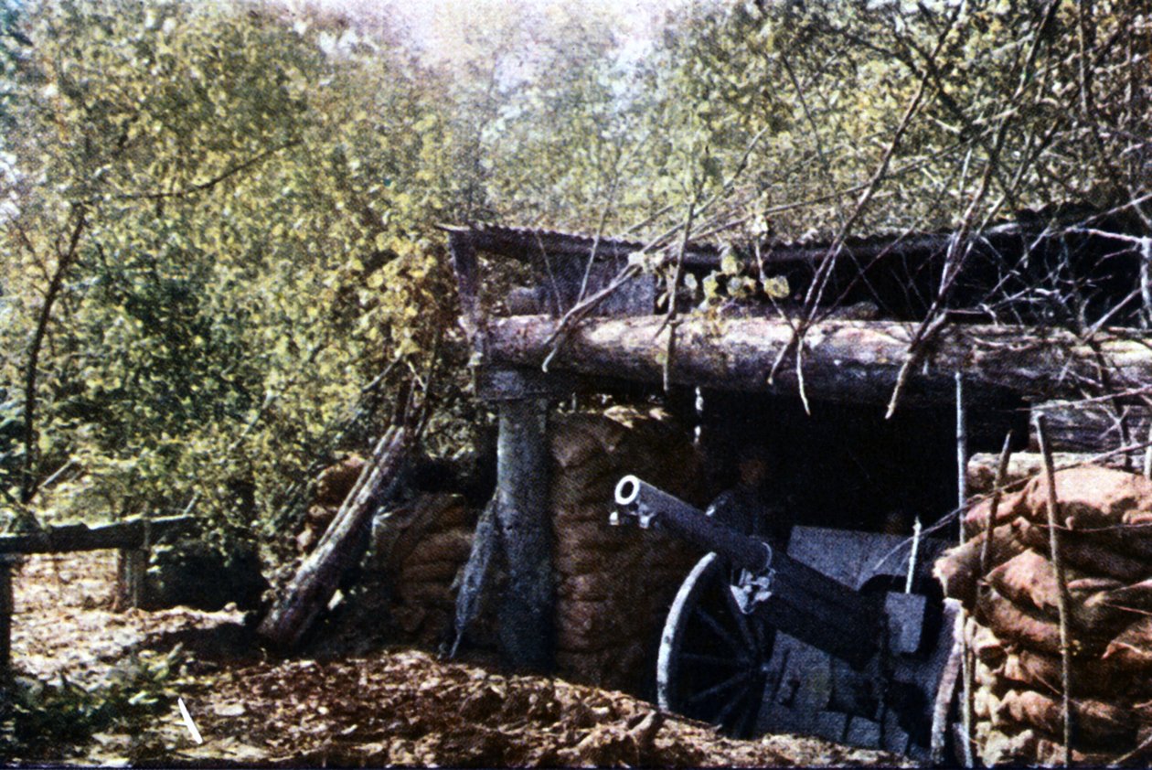 Un cañón francés camuflado de 75 mm bajo los árboles durante la Batalla de Verdún, septiembre de 1916 de Jules Gervais Courtellemont