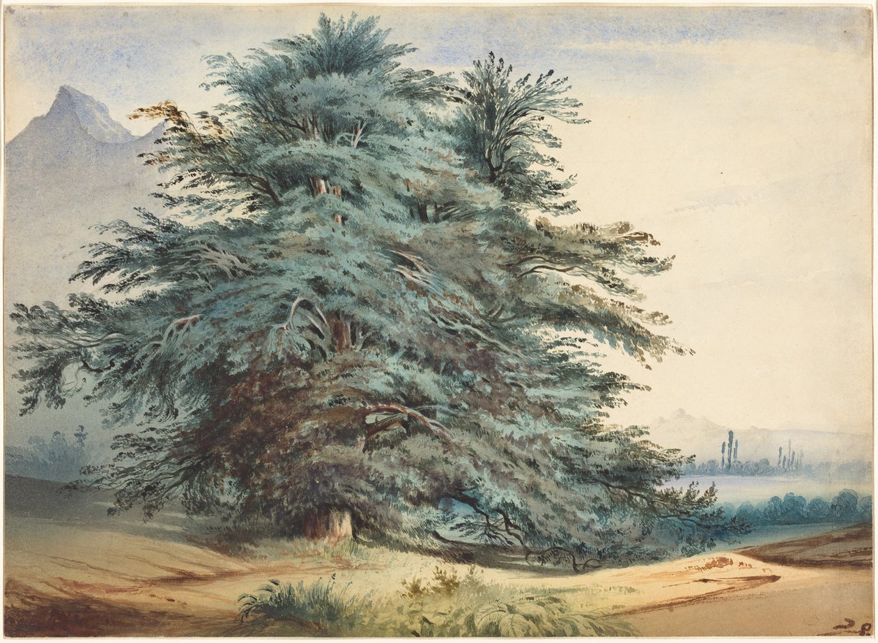 Dos árboles antiguos ante un pico montañoso de Jules Dupré
