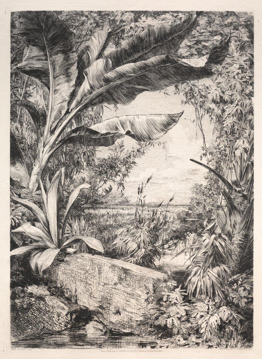 Plantas del invernadero, 1872 de Jules Ferdinand Jacquemart