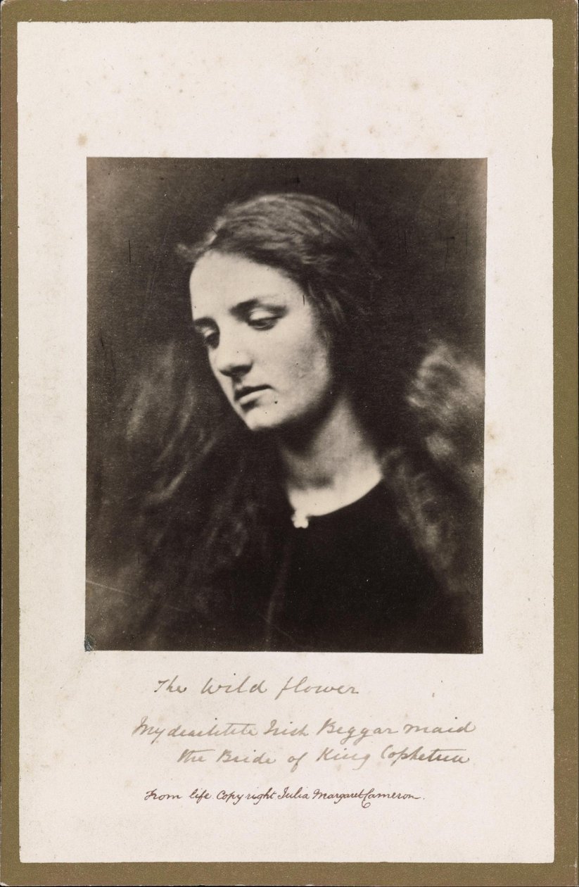 La flor silvestre de Julia Margaret Cameron