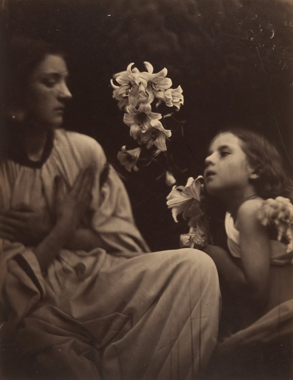 Un estudio, 1865-66 de Julia Margaret Cameron