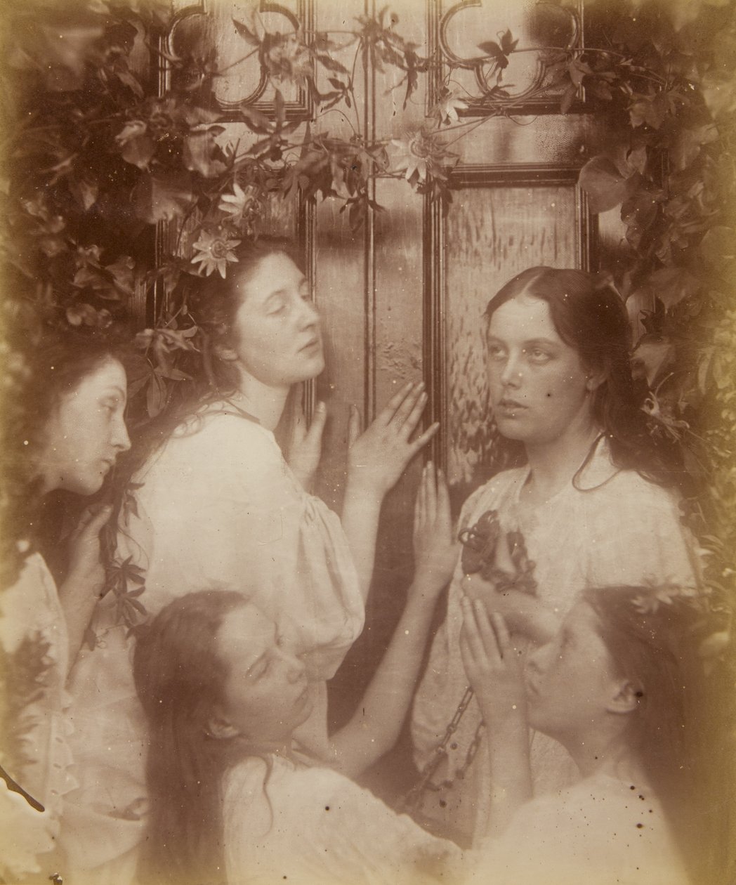 ¿No hemos oído que el novio es tan dulce?, agosto de 1874 de Julia Margaret Cameron