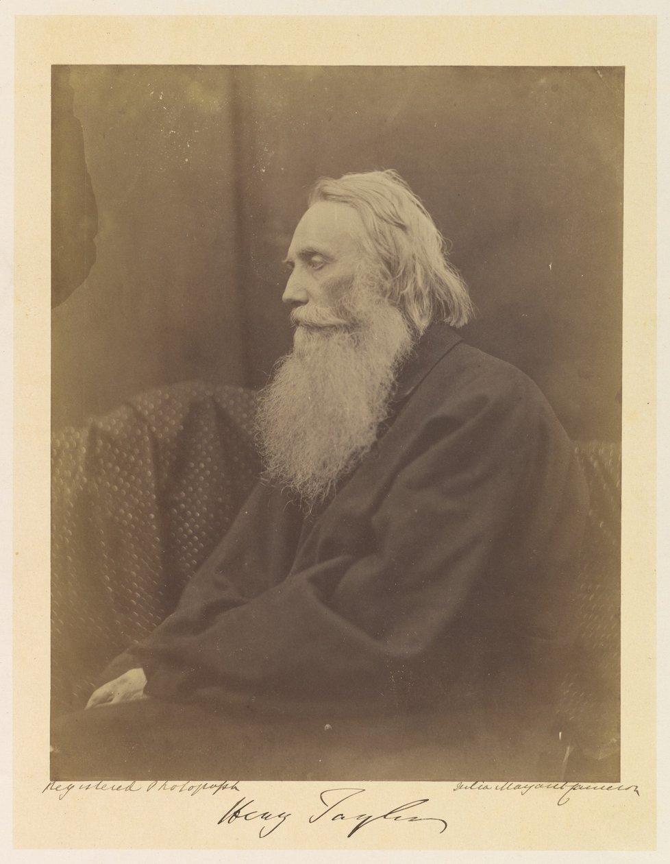 Henry Taylor de Julia Margaret Cameron
