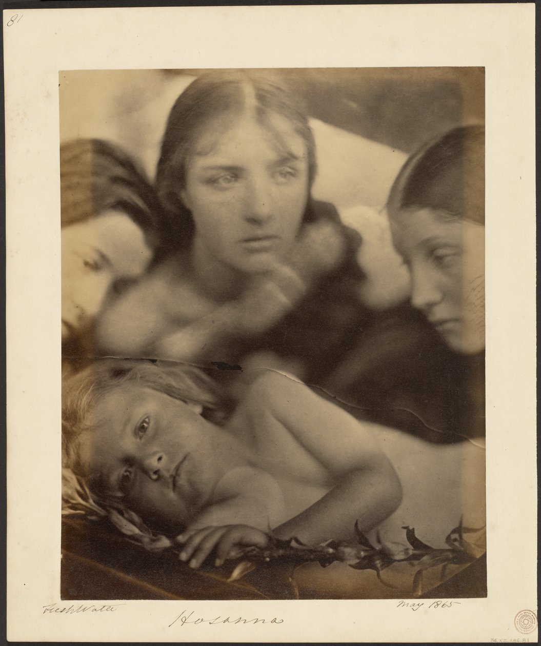 Hosanna de Julia Margaret Cameron