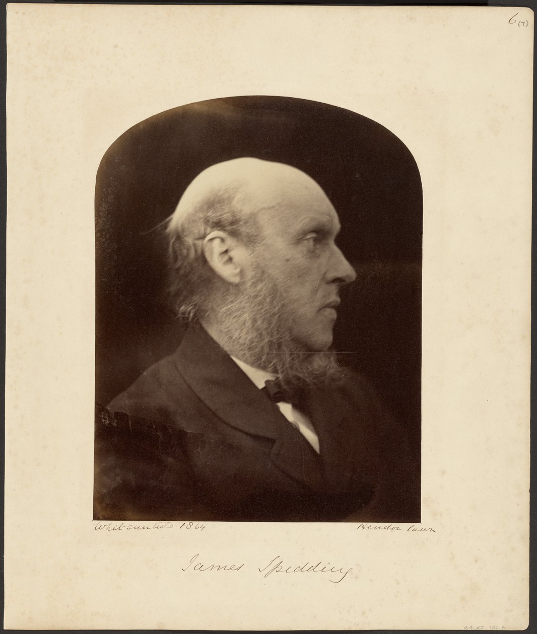 James Spedding de Julia Margaret Cameron