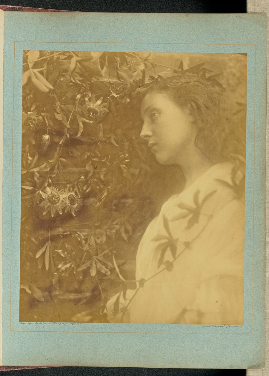 Maud «Ha caído una lágrima espléndida» / «De la pasiflora de la verja». de Julia Margaret Cameron