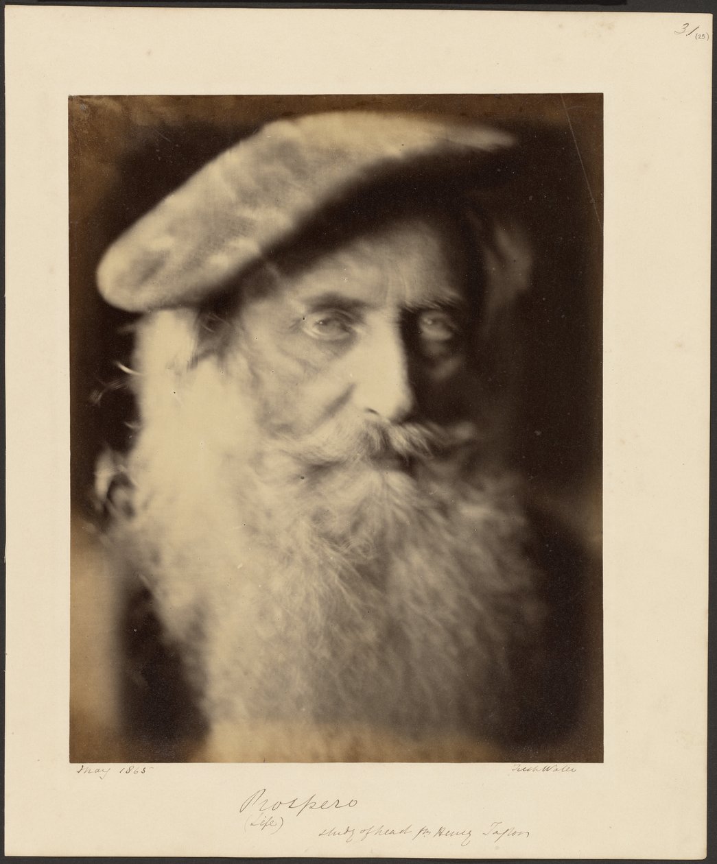 Prosperidad de Julia Margaret Cameron