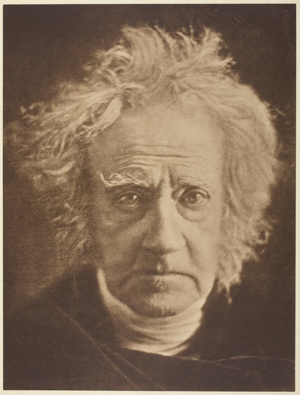 Sir John Herschel de Julia Margaret Cameron