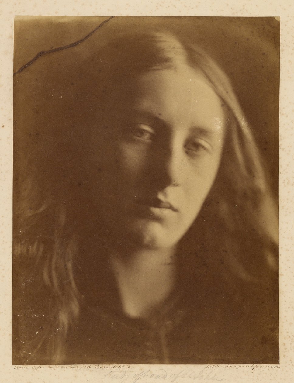 [Estudio Cabeza de San Juan] de Julia Margaret Cameron