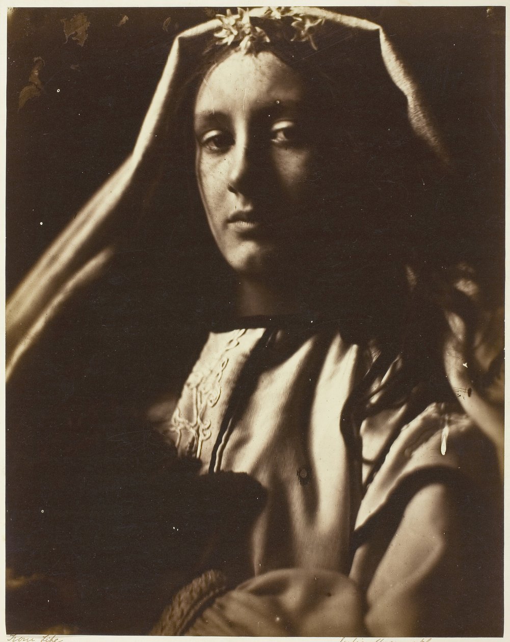 El napolitano, 1864-65 de Julia Margaret Cameron