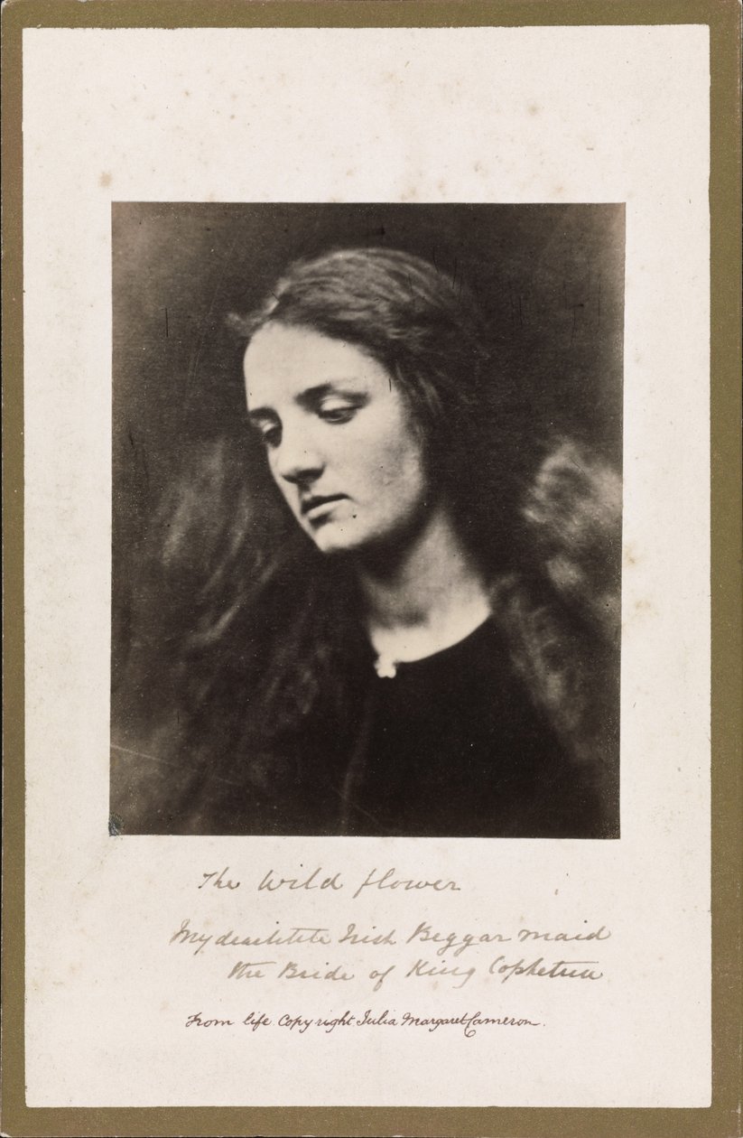 La flor silvestre de Julia Margaret Cameron