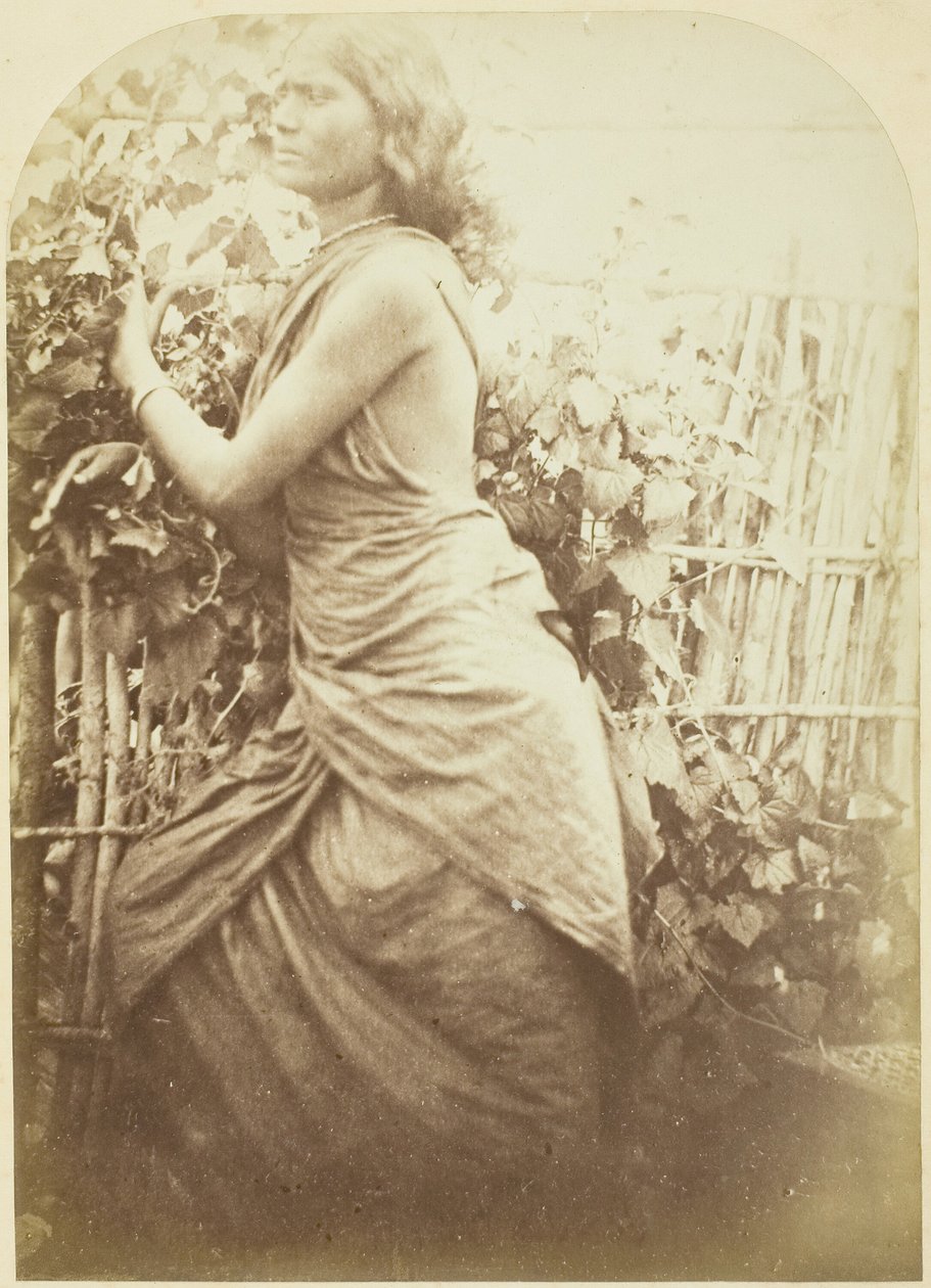 Mujer, Ceilán, 1875-79 de Julia Margaret Cameron