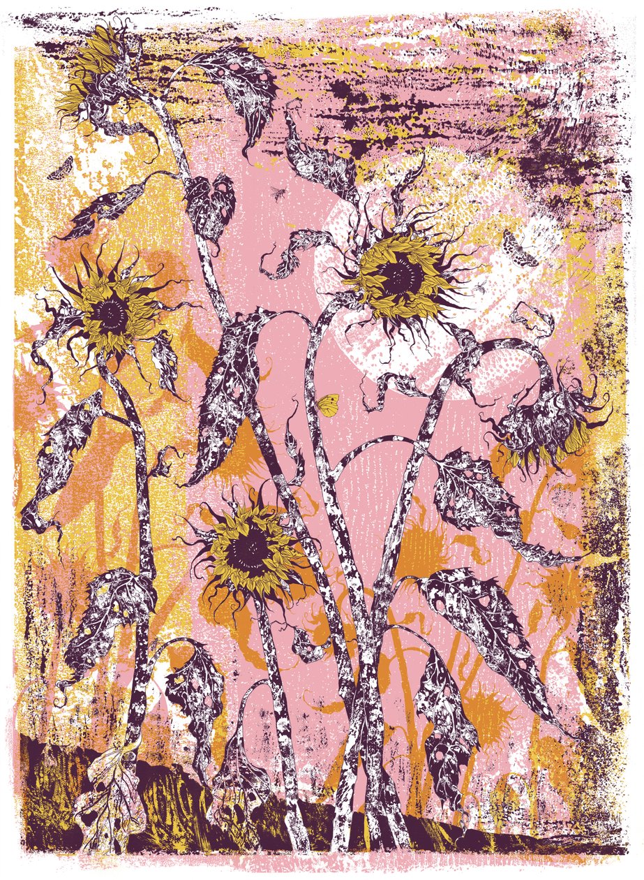 son sine sole iris, 2016 (serigrafía) de julia McKenzie