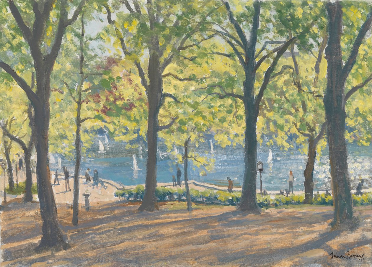 Central Park, Nueva York, 2010 de Julian Barrow