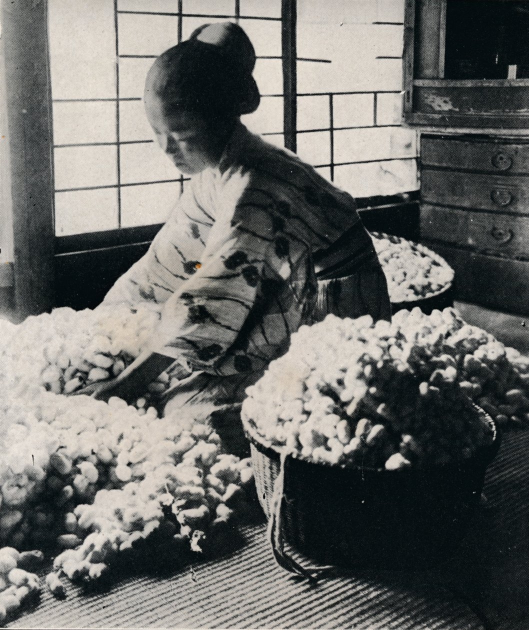 5000 gusanos de seda comen 125 libras de morera para 8 madejas de seda, haciendo un kimono, c1900, 1921 de Julian Leonard Street