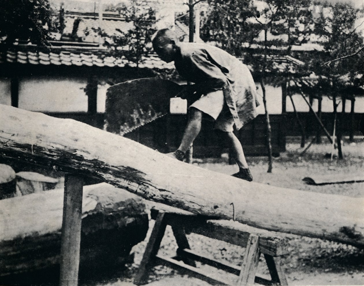El aserrado y cepillado se hacen con un movimiento de tracción en lugar de empuje, c1900, 1921 de Julian Leonard Street