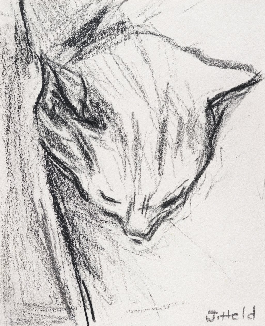 Gato durmiendo, 2015 de Julie Held