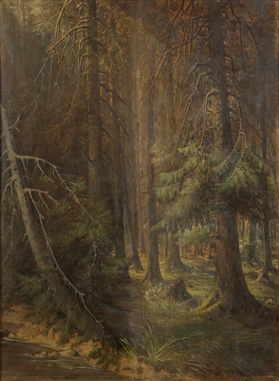 Bosque de Julie Wilhelmine Hagen Schwarz