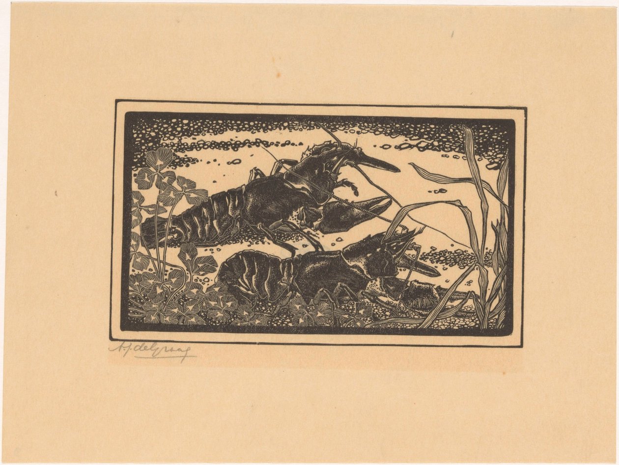 Dos cangrejos de río de Julie de Graag (signed by artist)