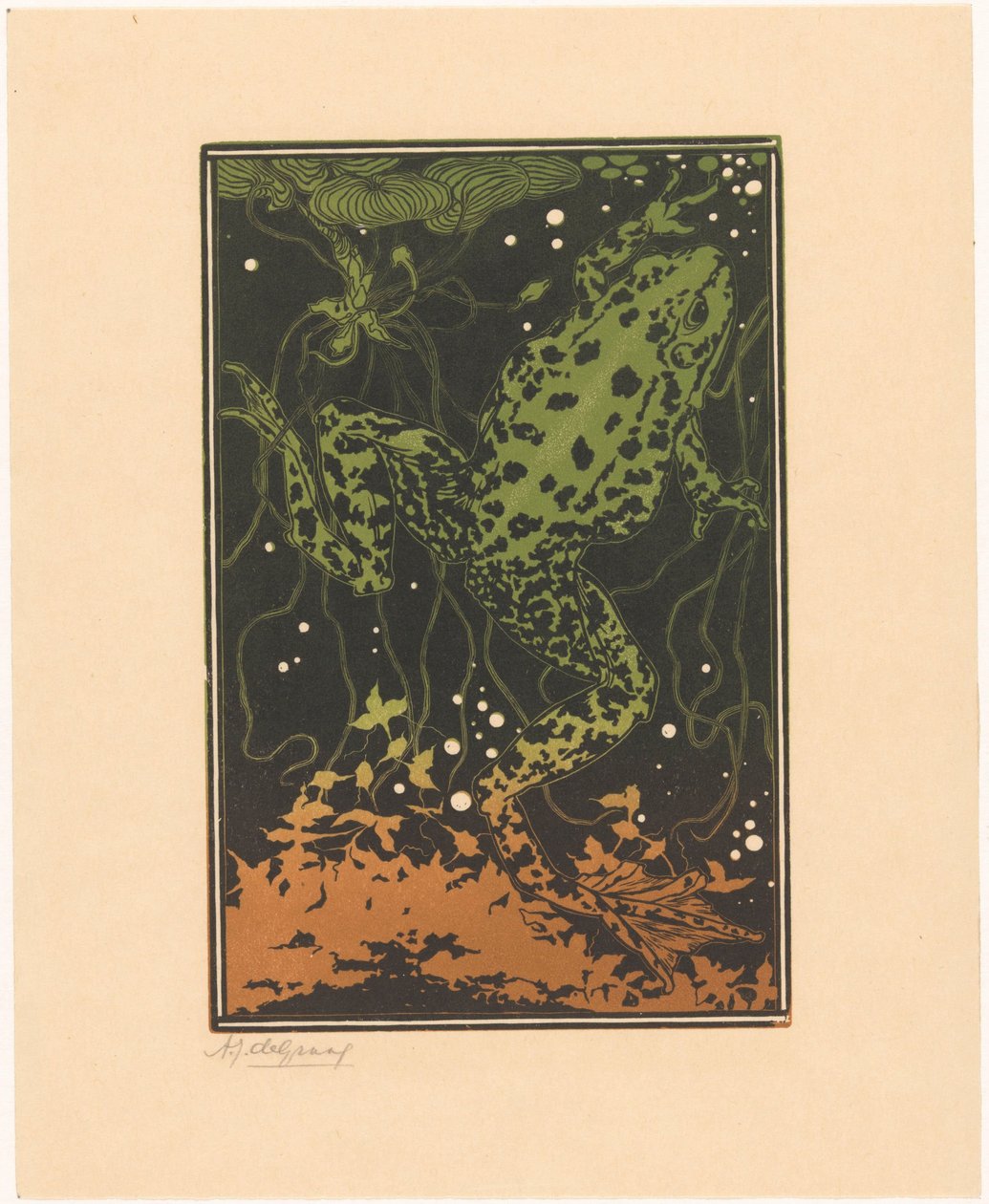 Rana nadadora de Julie de Graag (signed by artist)