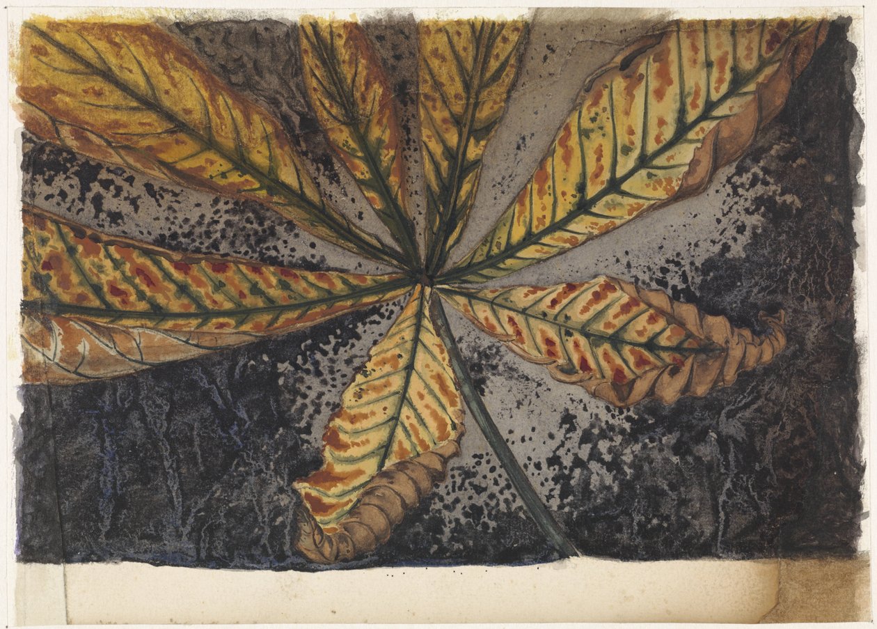 Hoja de castaño de Julie de Graag