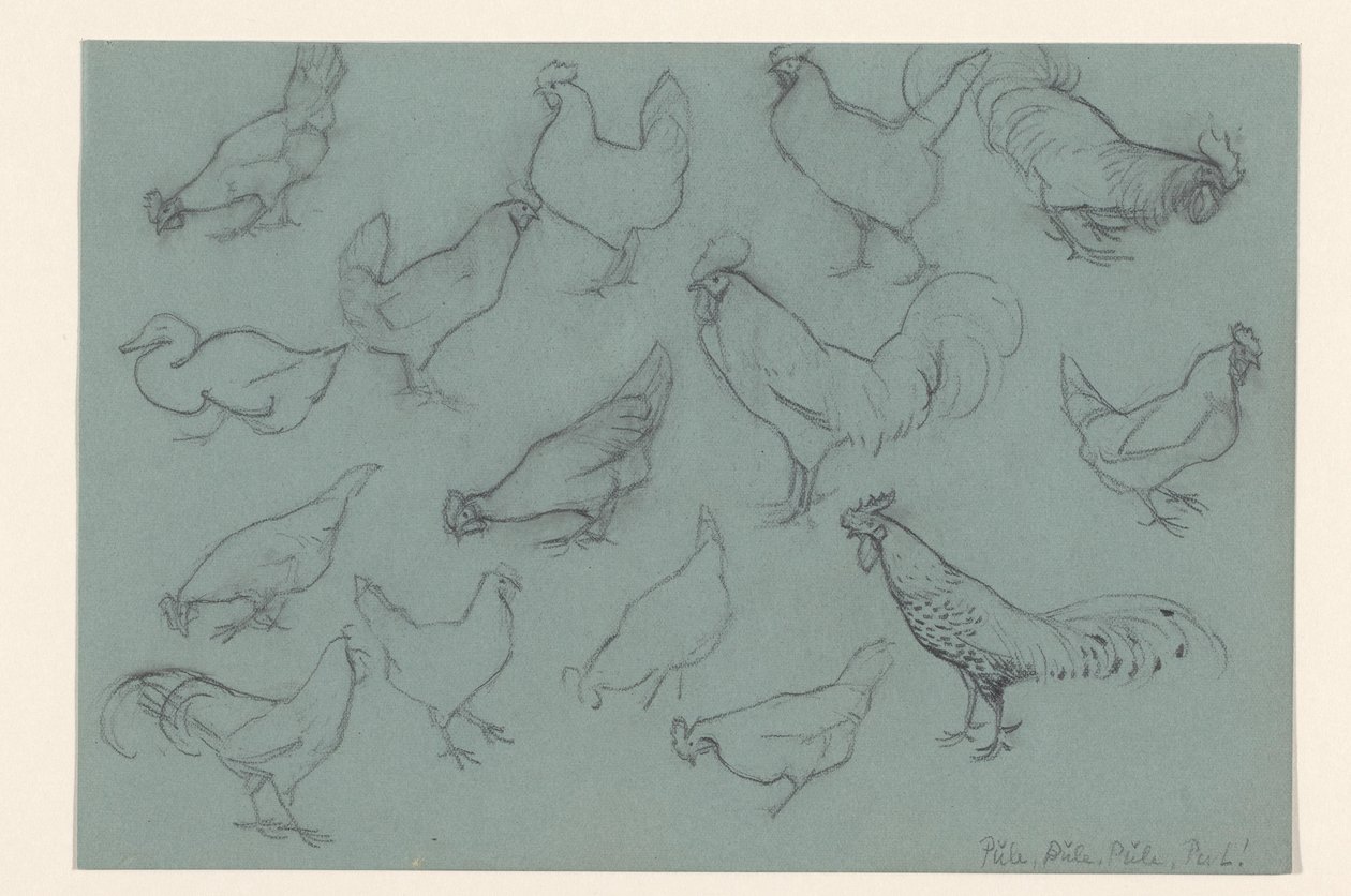 Ficha de estudio con aves de corral de Julie de Graag