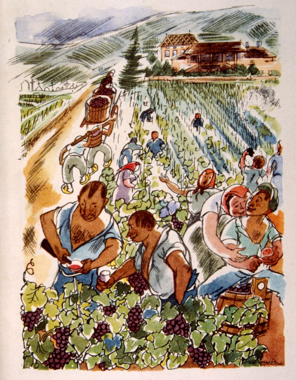 Viñedo francés. 1944. Ilustración de Julien Pavil de Julien Pavil