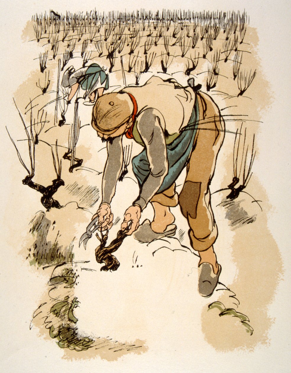 Ilustración humorística del vino 1946.Ilustración de Julien Pavil de Julien Pavil