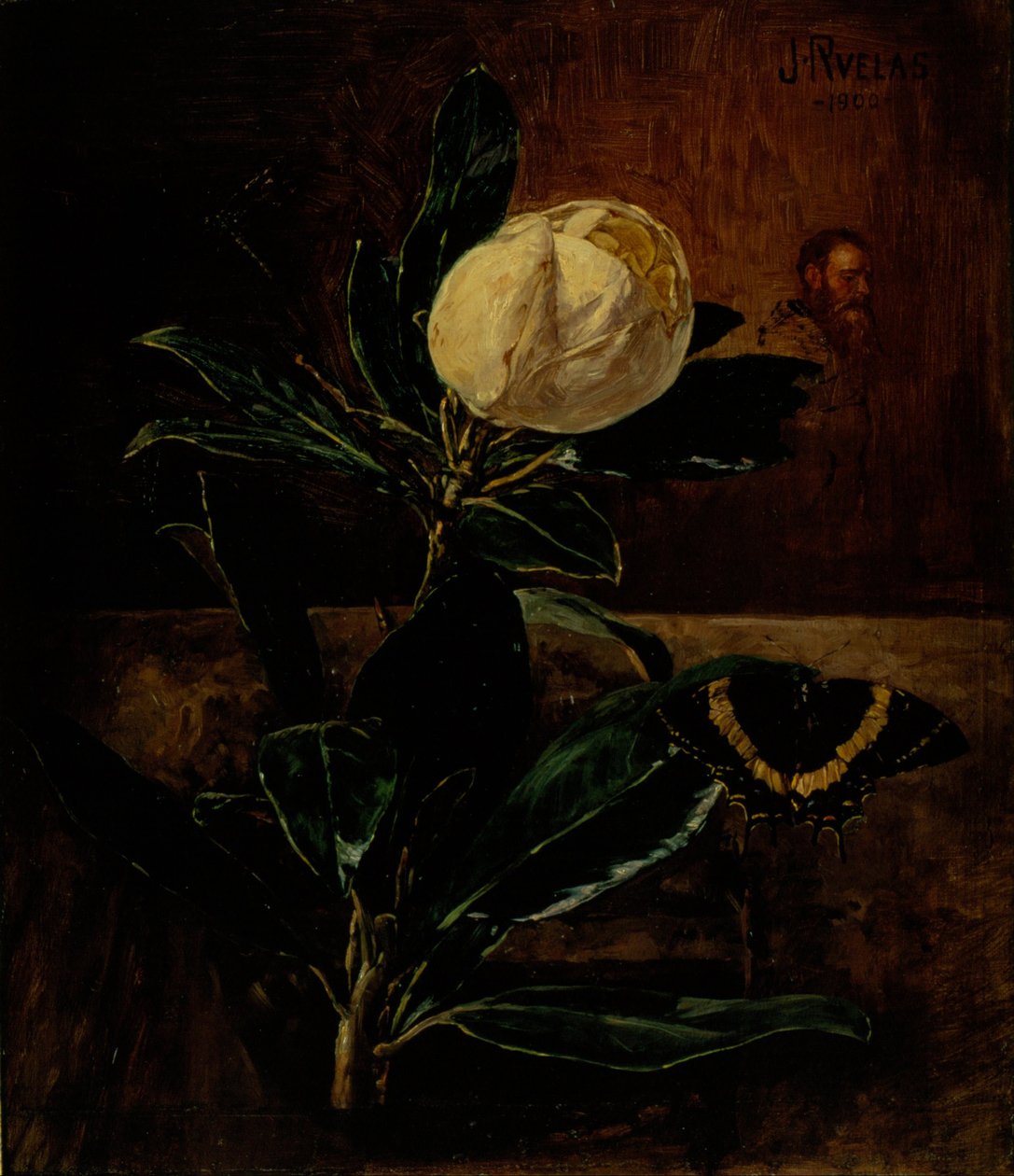 La Magnolia de Julio Ruelas