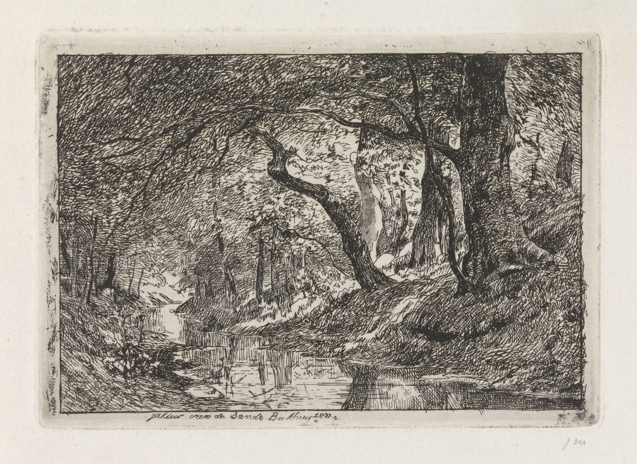 Paisaje forestal con arroyo y árboles en la orilla. de Julius Jacobus van de Sande Bakhuyzen