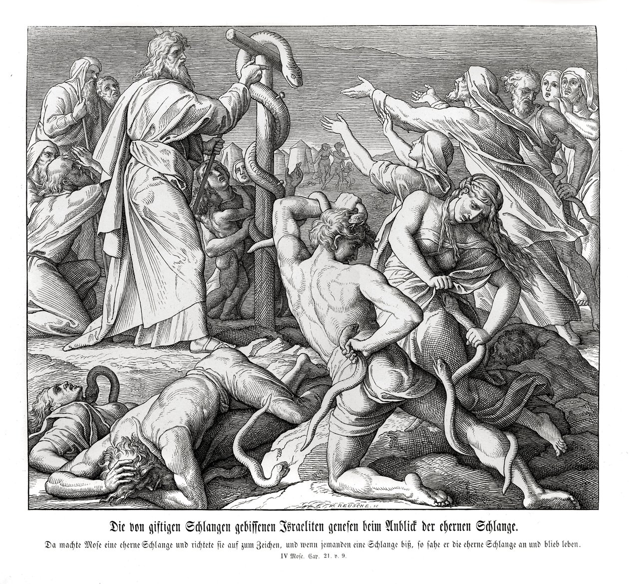 Moisés y la serpiente de bronce, Números de Julius Schnorr von Carolsfeld