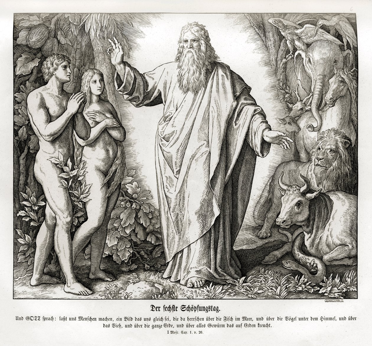 Sexto día de la creación, Génesis de Julius Schnorr von Carolsfeld